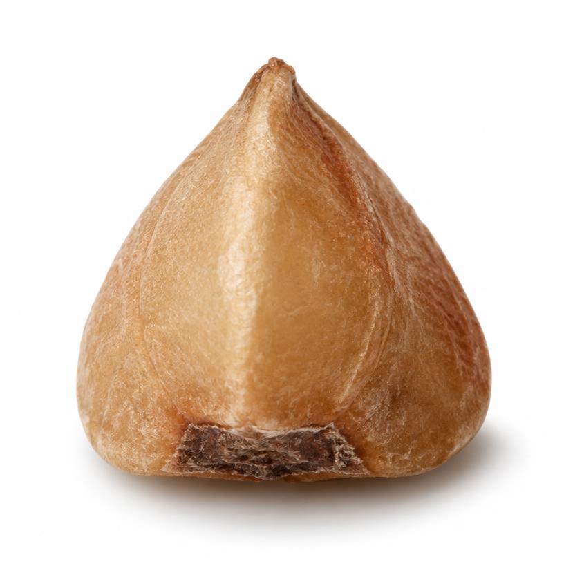 Buckwheat grain